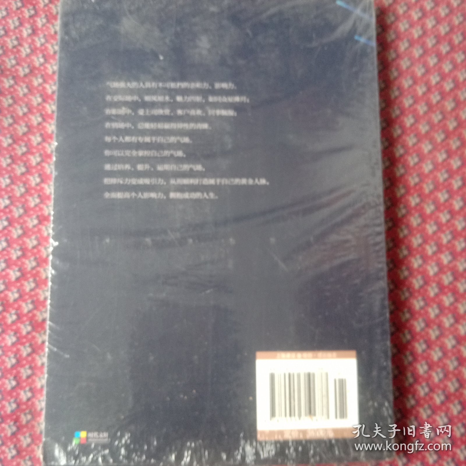 气场：让你更强大的神秘力量