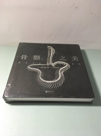 骨骼之美