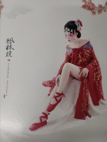 美女艺术照片–枫林晚系列合集(26页)24041754