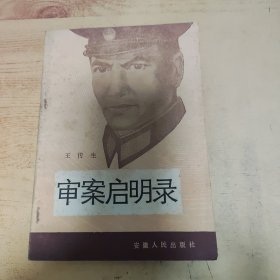 审案启明录