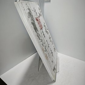 崎艺惊世砺笔不平，范曾题识梁崎书画