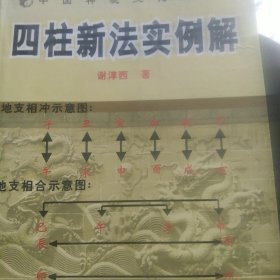 四柱新法实例解