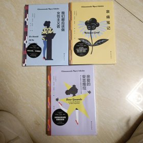 阿迪契作品3册 亲爱的安吉维拉 哀痛笔记 我们都应该做女性主义者