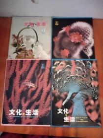 文化与生活1980年第1-4期