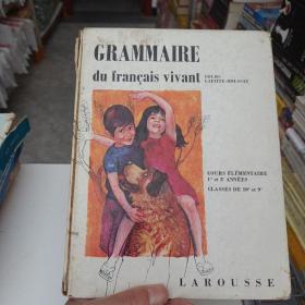 grammaire du francais vivant 法语语法