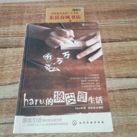 haru的橡皮章生活：台湾原版引进的中文简体版