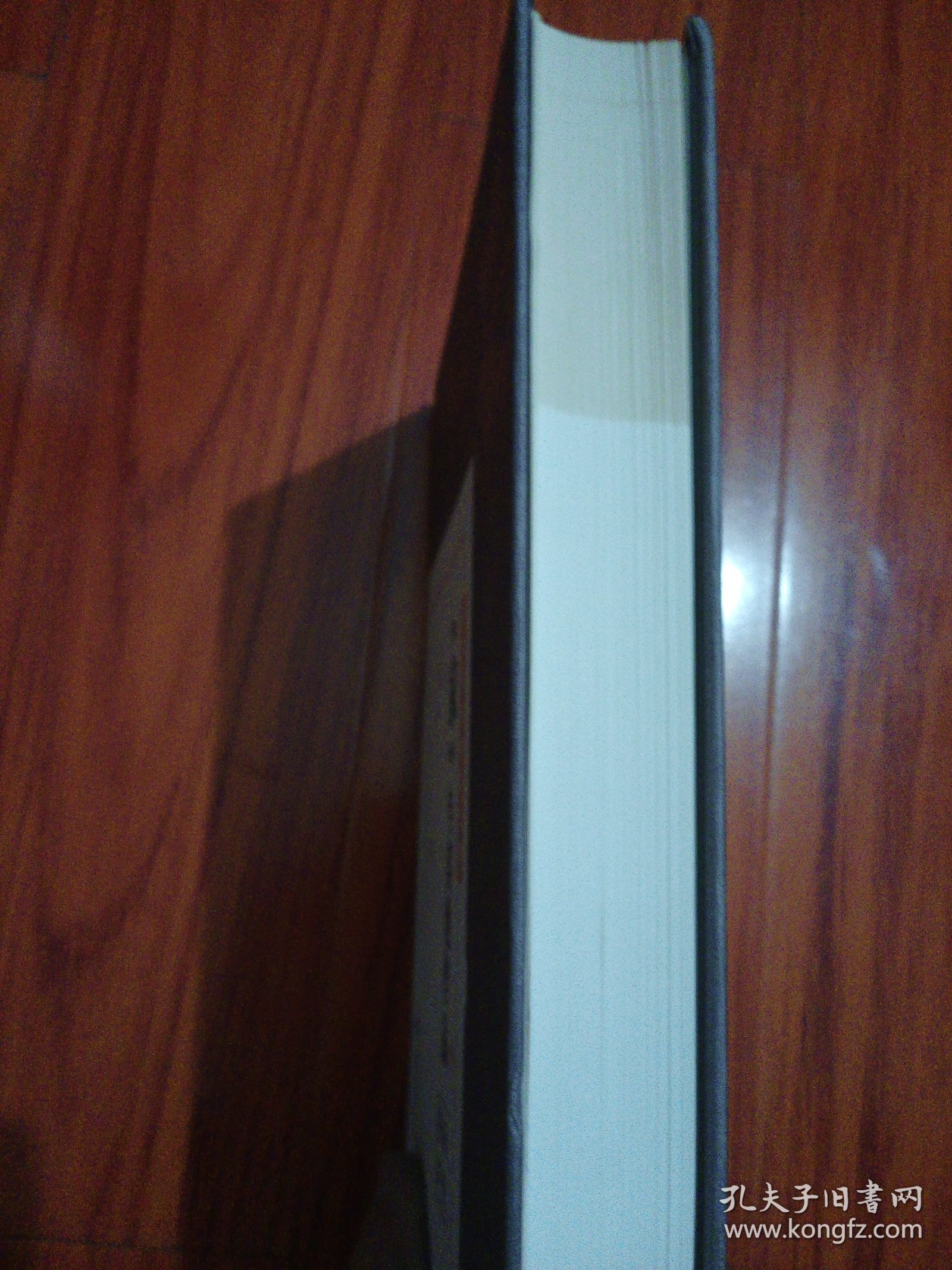 家与其它作品研究资料