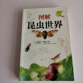 圖解昆蟲世界