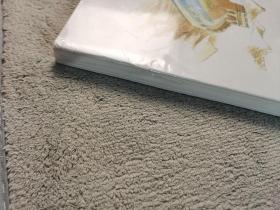 2015 第七届中国嘉兴 国际漫画双年展作品集