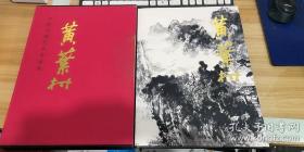 中国近现代名家画集：黄叶村画集