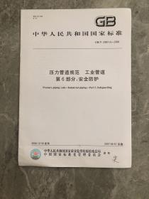 中华人民共和国国家标准——压力管道规范 工业管道第6部分：安全防护