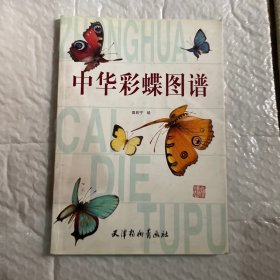 中华彩蝶图谱