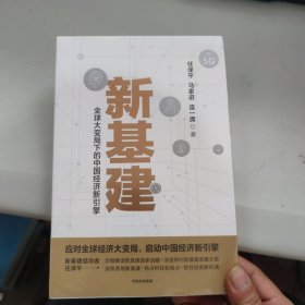 新基建：全球大变局下的中国经济新引擎任泽平新作（与普通版随机发货）