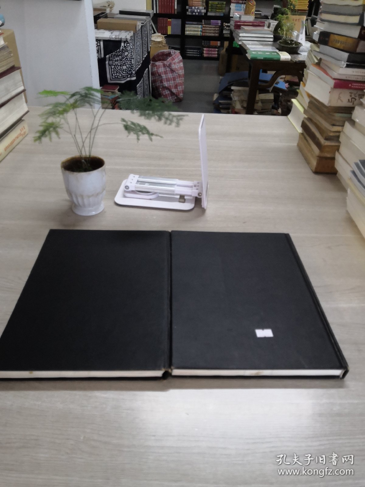 齐白石画集（上下卷）