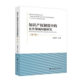 知识产权制度中的公共领域问题研究（第1卷）