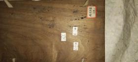老木制书夹板  一对    长29.7厘米宽17厘米