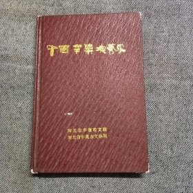 中国辛集演艺家