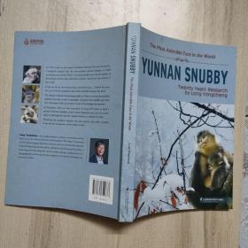 滇金丝猴Yunnan Snubby