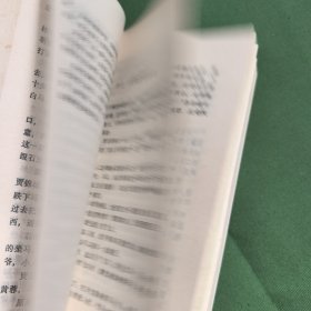 神雕侠侣前传。金庸著作。