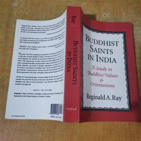 Buddhist Saints In India A Study In Buddhist Values And Orientations