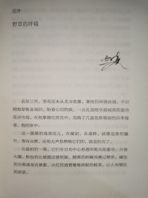 云烟过客（迟子建散文系列）