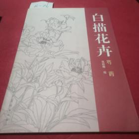 白描花：芍药