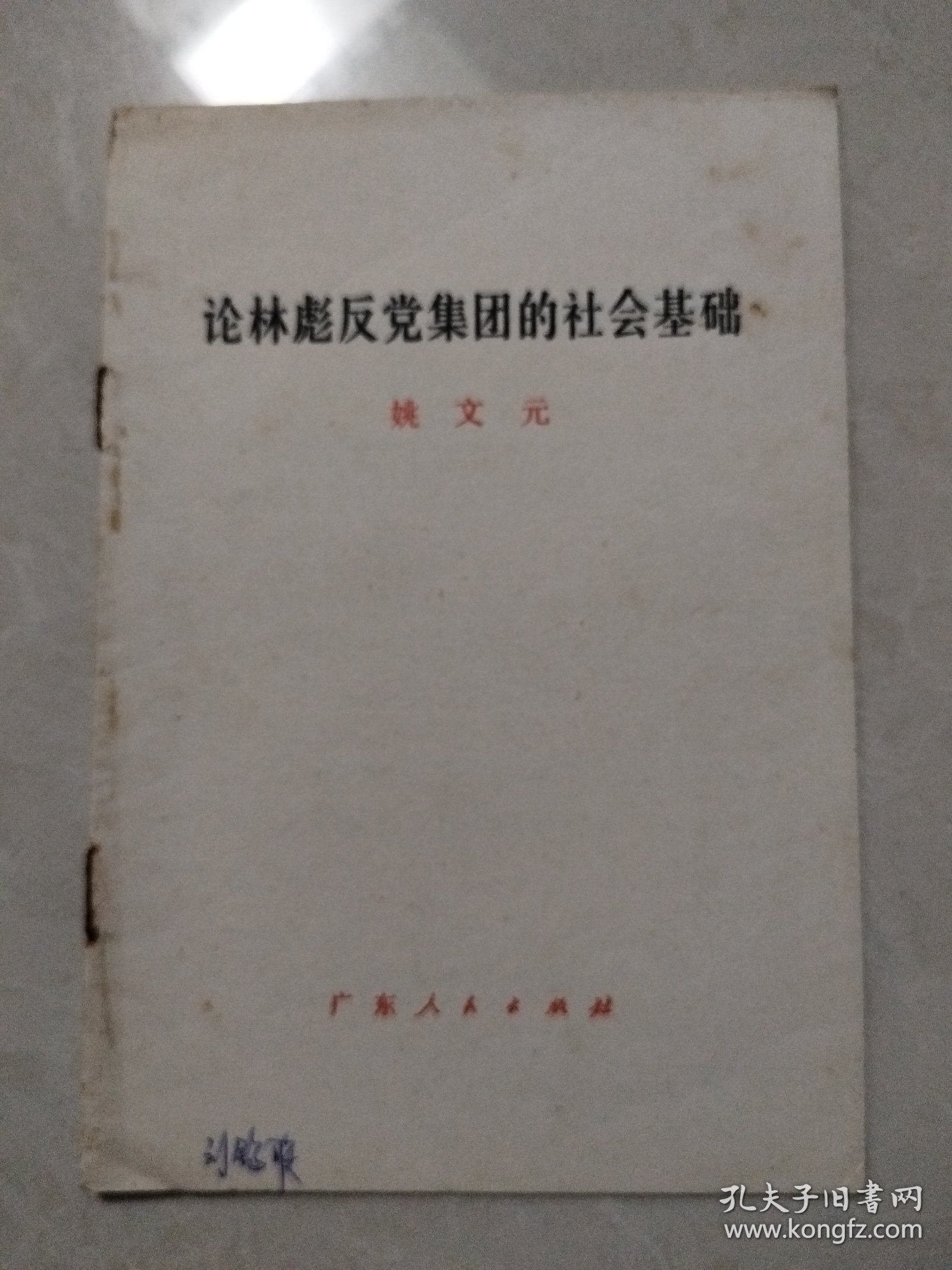 论林彪反党集团的社会基础