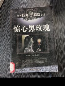 世界经典惊险小说：惊心黑玫瑰