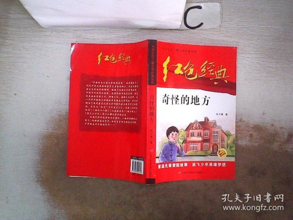 红色经典—奇怪的地方 中国红色儿童文学经典系列 小学生四五六年级课外书 少年励志红色经典书籍故事书 革命传统教育读本爱国