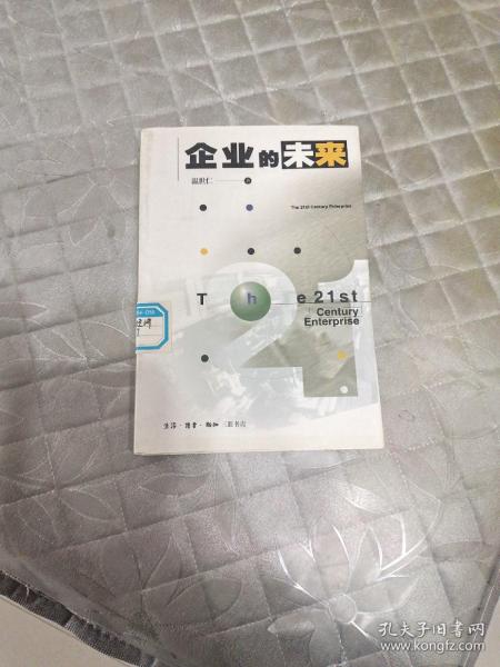 企业的未来