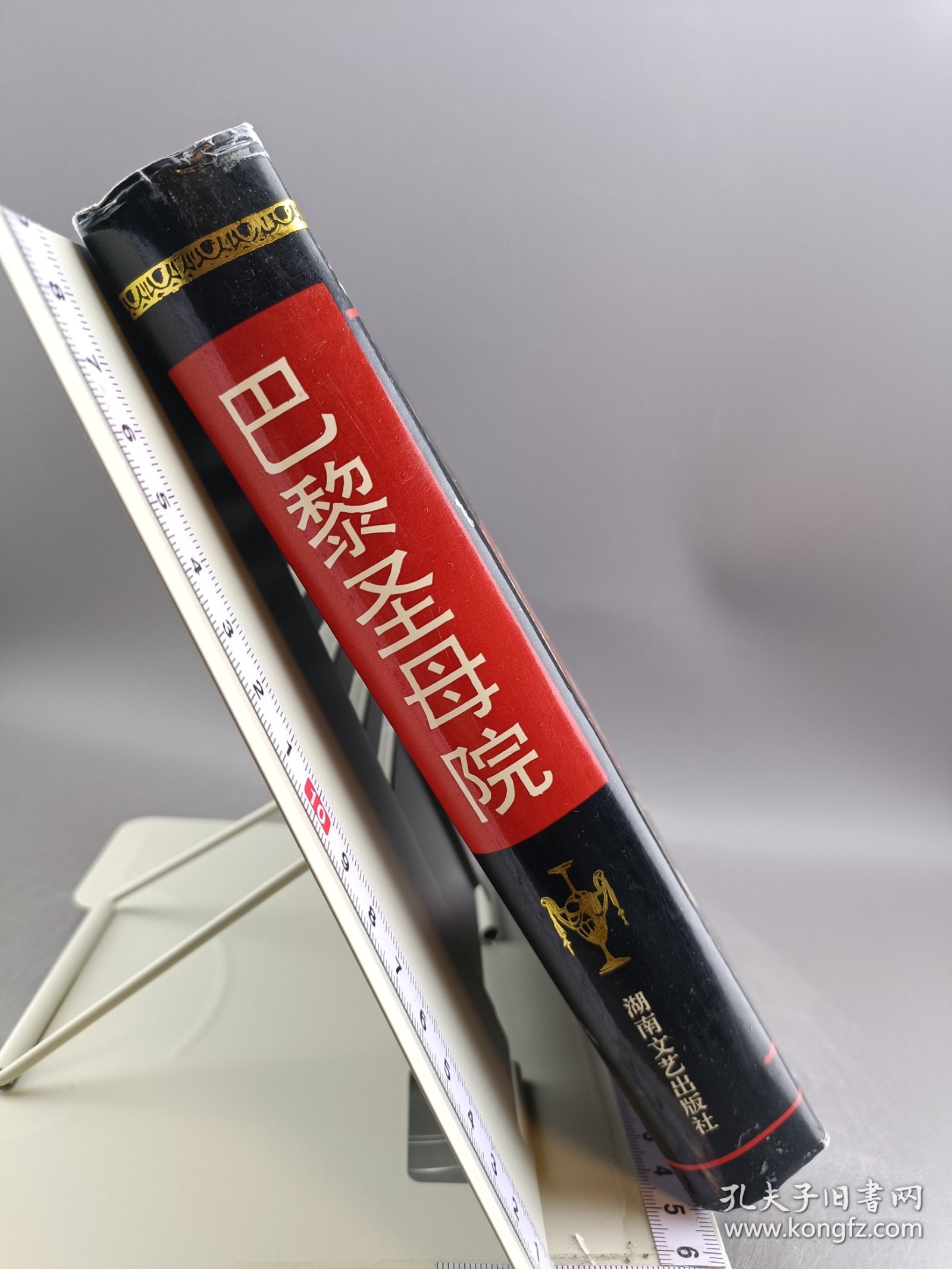 巴黎圣母院 世界文学名著