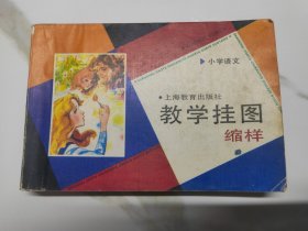 小学语文教学挂图