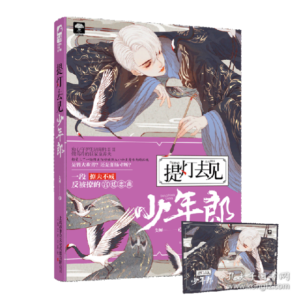 提灯去见少年郎