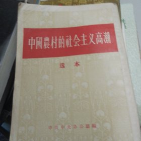 中国村的社会主义高潮 选本