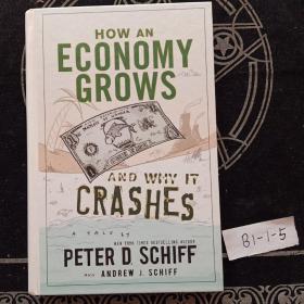 How an Economy Grows and Why It Crashes