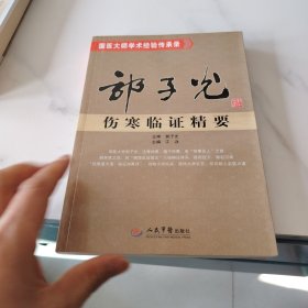 国医大师学术经验传承录：郭子光伤寒临证精要