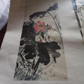 红莲翠羽 唐云活页