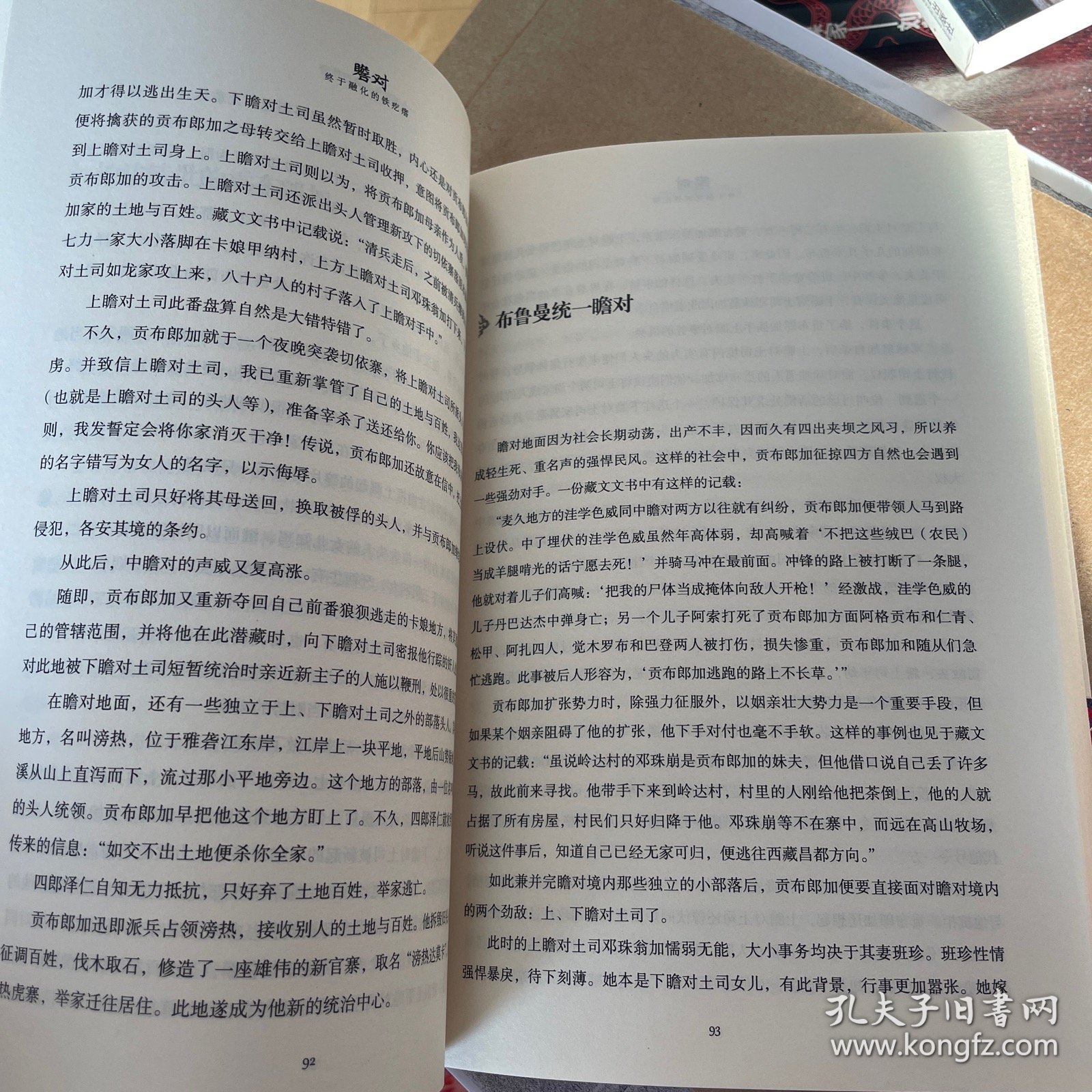 瞻对：终于融化的铁疙瘩：一个两百年的康巴传奇