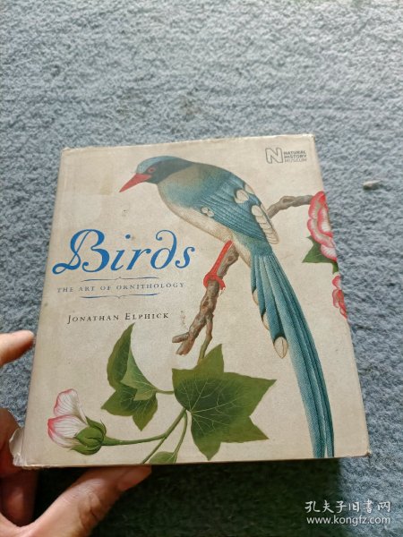 BIRDS THE ART OF ORNITHOLOGY