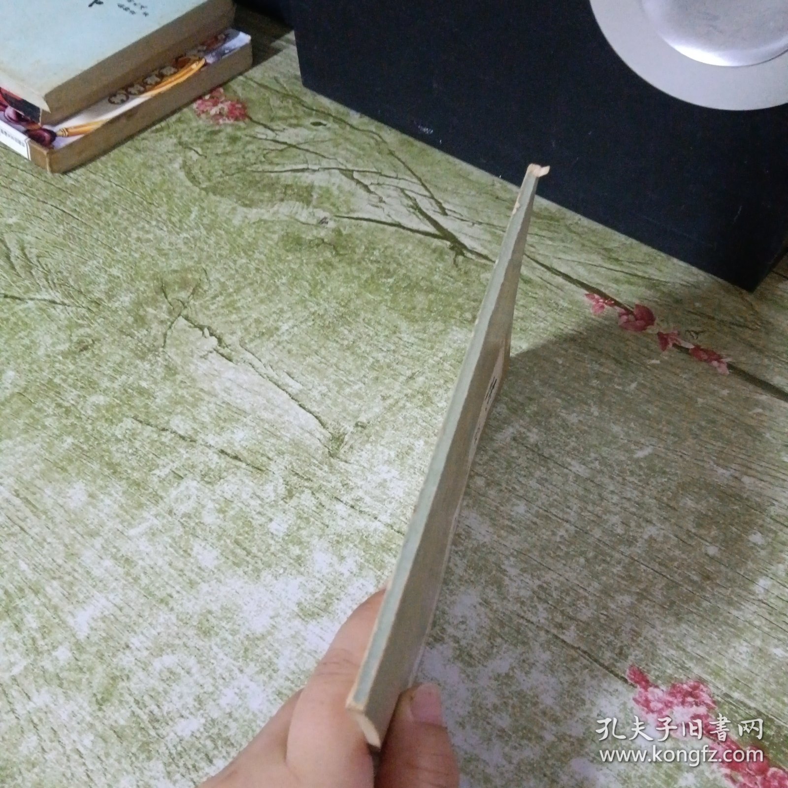 陆游诗词选注
