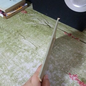 陆游诗词选注