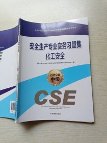 2019版中极 安全生产专业实务习题集化工安全