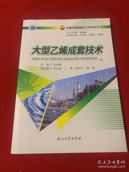 大型乙烯成套技术/中国石油炼油化工技术丛书