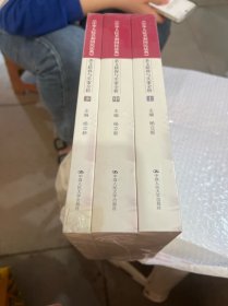 杨立新主编《中华人民共和国民法典》 条文精释与实案全析（上中下）