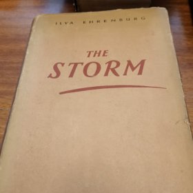 THE STORM