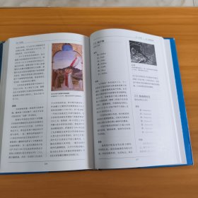 基督教神圣谱：西方冠“圣”人名多语同义词典