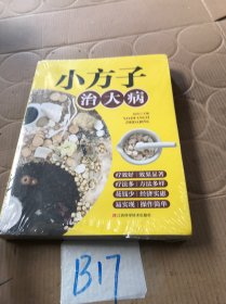 小方子治大病   中医书籍养生偏方大全民间老偏方美容养颜常见病防治 保健食疗偏方秘方大全小偏方老偏方中医健康养生保健疗法