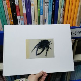 王大宙生物藝術(shù)