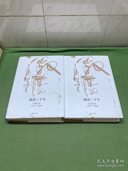 吴晓波企业史 激荡三十年：中国企业1978—2008（十年典藏版）（套装共2册）