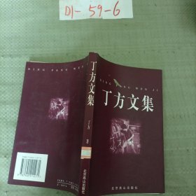 丁方文集